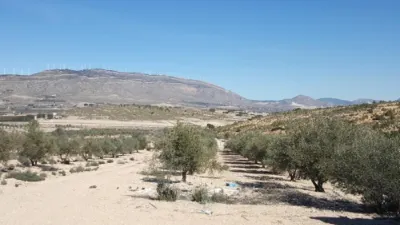 Rustic farm in Caudete photo 6